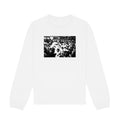 PEACE OF NOISE——PERCEPTION
